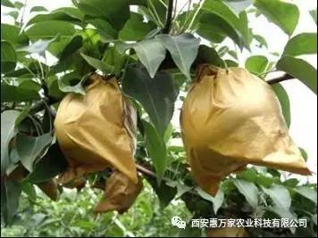 &#112;&#112;&#30005;&#23376;&#40;&#20013;&#22269;&#28216;&#41;&#23448;&#26041;&#22312;&#32447;&#24179;&#21488;